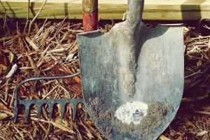 Investition in Qualit&auml;t: Warum gute Gartenger&auml;te wichtig sind - Bild: Rudy and Peter Skitterians auf Pixabay