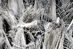 Asbest in Berliner Altbauten erkennen und fachgerecht entsorgen lassen - Bild: Jonas Allert / Unsplash