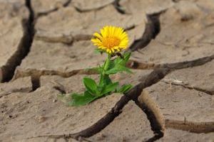 Hitze bezeichnet eine hohe Temperatur oder die thermische Energie, die zu einer Erw&auml;rmung von Materialien oder der Umgebung f&uuml;hrt.