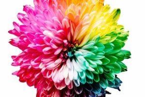 Fototapete mit Architektur - ein Rezept für ein modernes Wohnzimmer - Bild: Sharon Pittaway / Unsplash Fototapete mit Architektur - ein Rezept für ein modernes Wohnzimmer - Bild: Sharon Pittaway / Unsplash