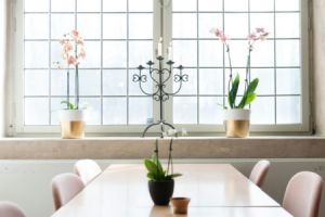 So erkennen Sie den perfekten Zeitpunkt f&uuml;r den Austausch Ihrer Fenster - Bild: Michal Vrba / Unsplash