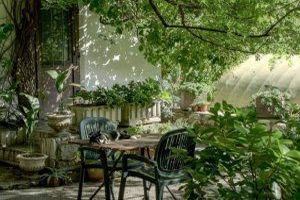 Ein grüner Garten zur Entspannung - Bild: Robin Wersich auf Unsplash Ein grüner Garten zur Entspannung - Bild: Robin Wersich auf Unsplash