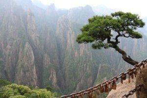 Die Natur bezieht sich auf die natürliche Welt, die Umwelt und die Gesamtheit aller lebenden Organismen, Pflanzen, Tiere und natürlichen Ressourcen. Die Natur bezieht sich auf die natürliche Welt, die Umwelt und die Gesamtheit aller lebenden Organismen, Pflanzen, Tiere und natürlichen Ressourcen.