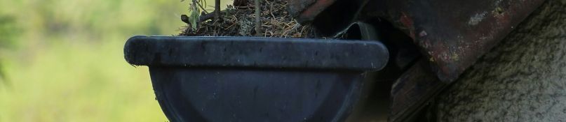 So vermeiden Sie Sch&auml;den an Ihrer Dachrinne im Winter