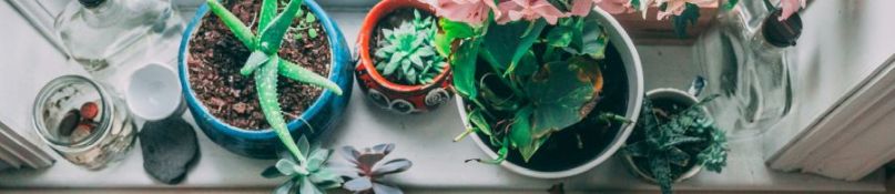 Alte Fenster modernisieren: Günstige Alternativen zur kompletten Erneuerung Alte Fenster modernisieren: Günstige Alternativen zur kompletten Erneuerung