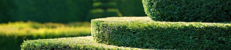 Heckenpflege leicht gemacht - so setzen Sie den Au&szlig;enbereich in Szene