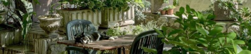 Die besten Ideen f&uuml;r einen Schattenplatz im Garten