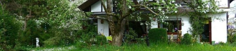 Grundst&uuml;ckskauf