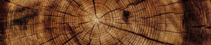 Der Herbst kommt: Sch&uuml;tzen Sie Ihre Holztreppen