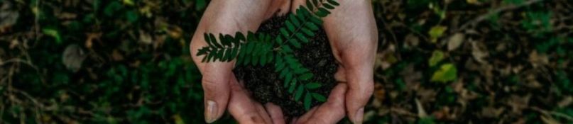 Trockenausbau mit Gipskartonplatten: Kein Problem f&uuml;r Heimwerker