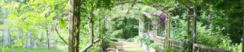 Pergolas: Vom Schattenspender zum Designerst&uuml;ck - So setzen Sie Akzente in Ihrem Garten