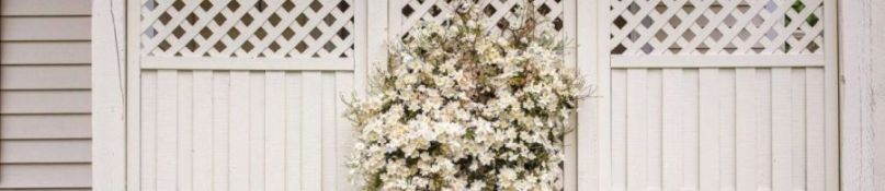 Z&auml;une und Sichtschutz: Das m&uuml;ssen Gartenbesitzer wissen