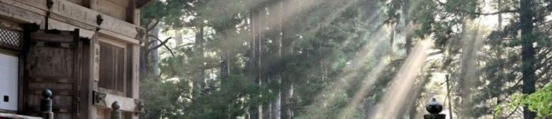 Roto: Schicker Rahmen für schräges Licht Roto: Schicker Rahmen für schräges Licht