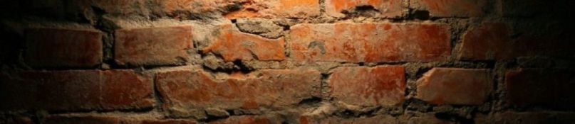 Die neuesten Holztrends an Wand und Decke