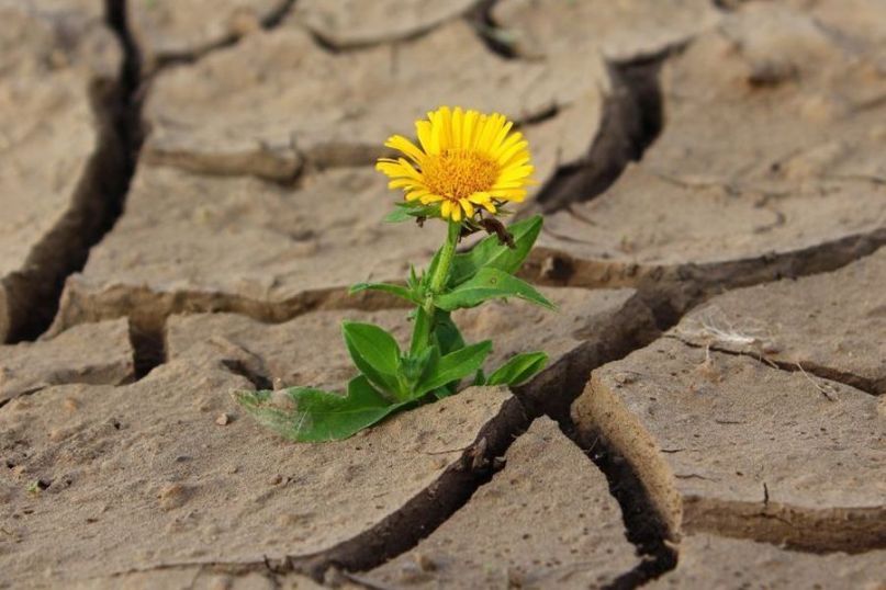 Hitze bezeichnet eine hohe Temperatur oder die thermische Energie, die zu einer Erw&auml;rmung von Materialien oder der Umgebung f&uuml;hrt.