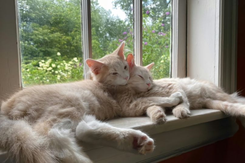 WERZALIT - Individuelle Anpassungsm&ouml;glichkeiten