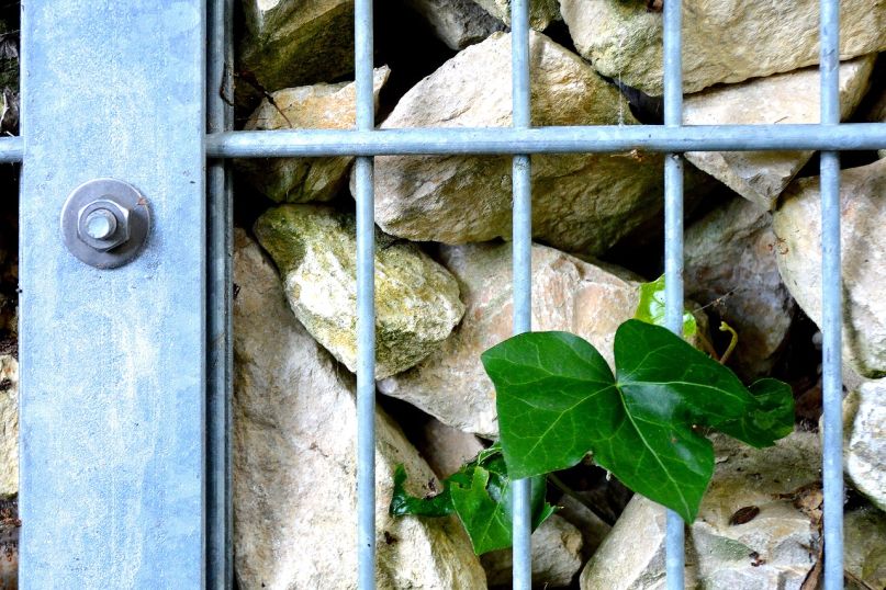 Die Vorteile von Gabionen f&uuml;r Ihren Garten