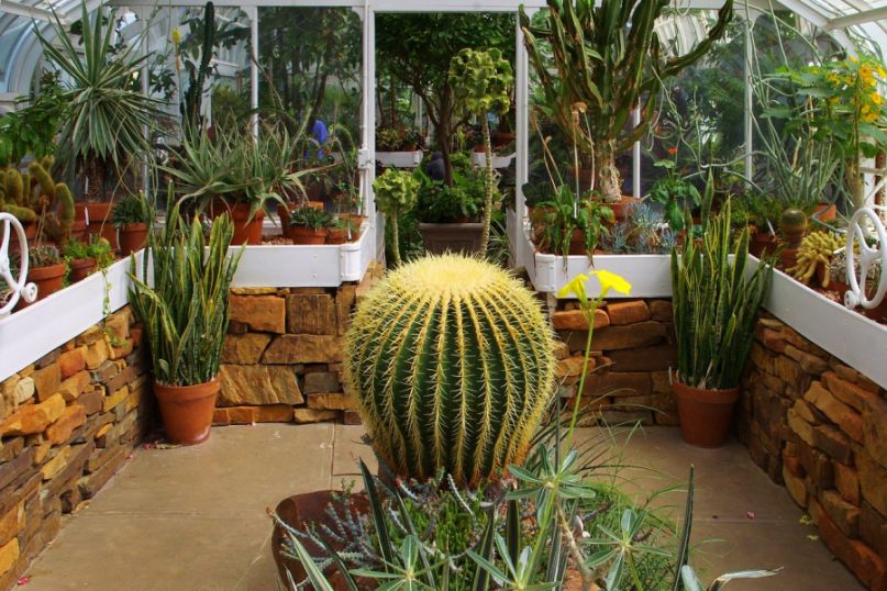 Gew&auml;chshaus richtig &uuml;berwintern - Pflanzen im Gew&auml;chshaus &uuml;berwintern