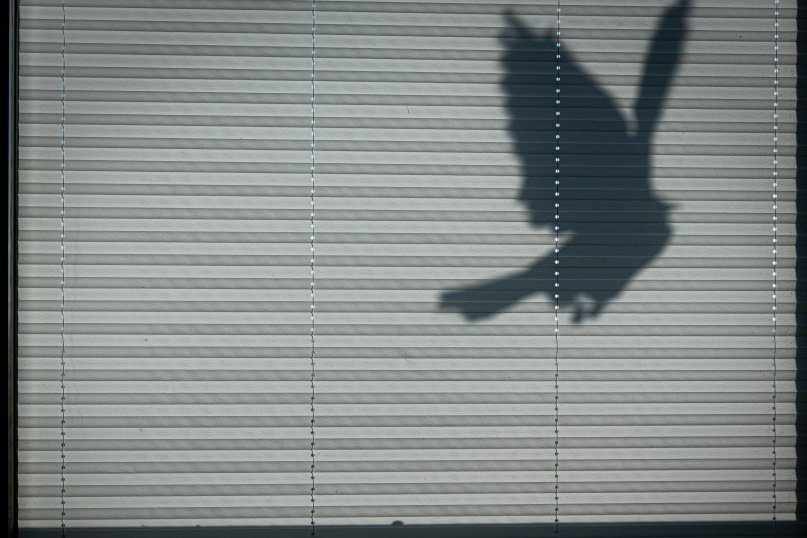 Ein Plissee ist ein Fensterbehang, der aus gefalteten Stoffbahnen besteht und als Sicht-, Sonnen- oder Blendschutz sowie zur Dekoration dient.