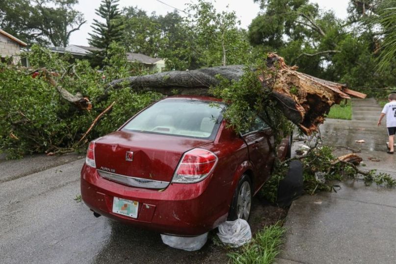 Sturmsch&auml;den k&ouml;nnen verheerend sein