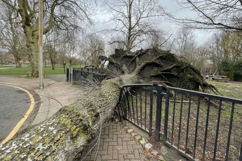 Wurde ein Baum w&auml;hrend eines Sturms stark besch&auml;digt und droht nun umzukippen, darf er nat&uuml;rlich zu jeder Zeit gef&auml;llt werden.
