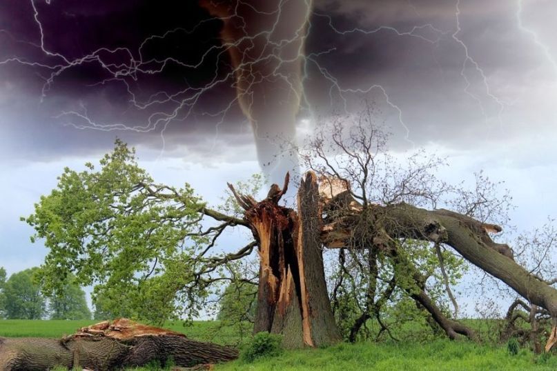 Naturgewalten sind beeindruckende und oft zerst&ouml;rerische Naturph&auml;nomene, die auf nat&uuml;rlichen Prozessen und Kr&auml;ften der Erde beruhen.