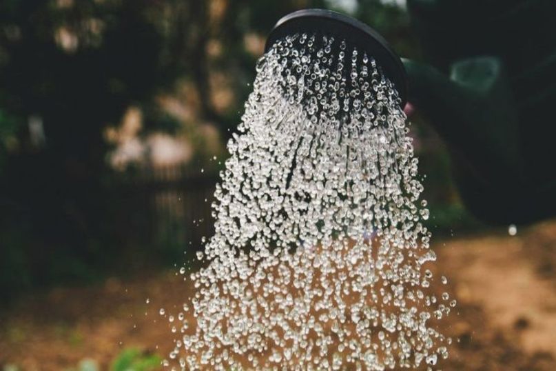 Wassermelder ist ein Sensor oder Ger&auml;t, das auf das Vorhandensein von Wasser reagiert und einen Alarm ausl&ouml;st, um fr&uuml;hzeitig vor potenziellen Wassersch&auml;den zu warnen.